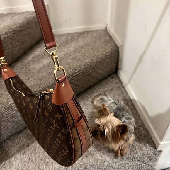 Louis Vuitton Loop Hobo - Picture 2 of 6